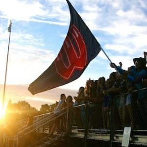 WHS flag